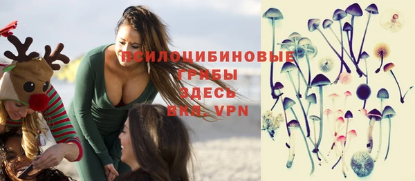 дурь Рославль